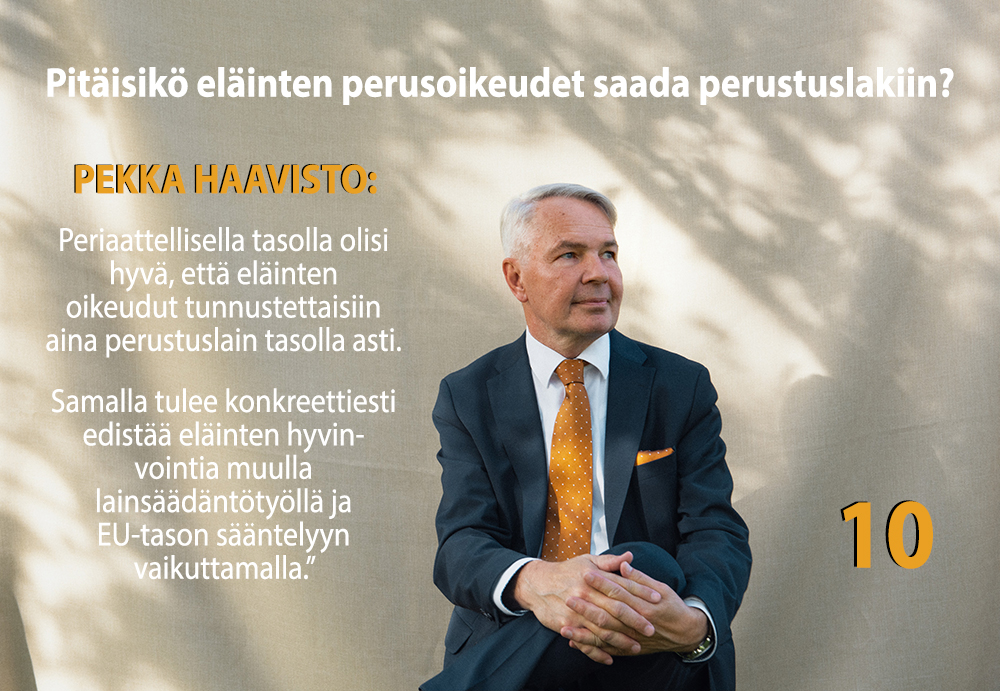 PEKKA HAAVISTO – pienten puolella pienestä pitäen